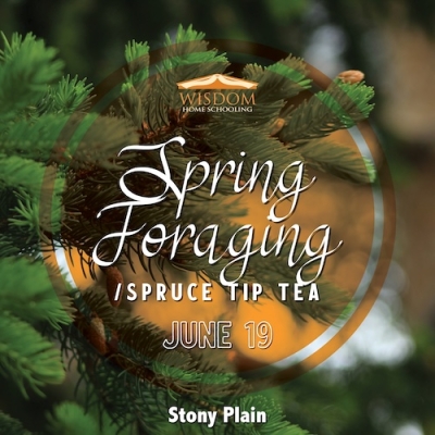 Survival: Spring Foraging/Spruce Tip Tea E - Stony Plain